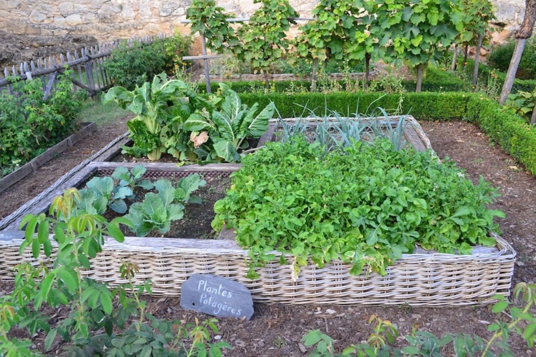a beautiful garden with healthy soil makes the most nutritious foods